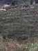 Terreno in vendita a Messina - 02