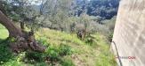 Terreno in vendita a Messina - 02