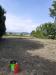 Terreno Agricolo in vendita a San Giuliano Terme - arena metato - 02