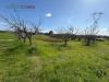 Terreno Agricolo in vendita a Misano Adriatico in via tavoleto - 03, Foto 3
