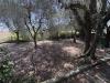 Casa indipendente in vendita con giardino a Misano Adriatico in via saffi - 08, Foto 8