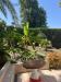 Appartamento in vendita con giardino a Riccione in viale trebaci - 03, Foto 3