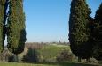 Rustico in vendita con giardino a Torrita di Siena - 03, Foto