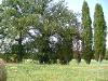 Rustico in vendita con giardino a Torrita di Siena - 05, Foto