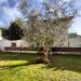 Casa indipendente in vendita con giardino a Carrara - gildona - 02