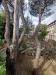 Villa in vendita a Castel Gandolfo in viale bruno buozzi 8 - 06