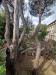 Locale commerciale in vendita a Castel Gandolfo in viale viale bruno buozzi 6 - 03