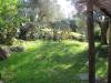 Rustico in vendita con giardino a Gavorrano - 10, 104 giardino.JPG