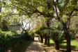 Villa in vendita con giardino a Scarlino - 02, 026-S023_ (2).JPG