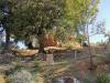Rustico in vendita con giardino a San Gimignano - 04