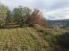 Terreno Agricolo in vendita a Colle di Val d'Elsa - gramsci - 05