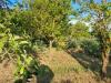 Terreno Agricolo in vendita a Poggibonsi - 05