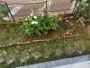 Appartamento in vendita con giardino a Poggibonsi - via pisana (rione falco) - 06