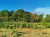 Terreno Agricolo in vendita a Poggibonsi - 02