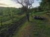 Terreno Agricolo in vendita a Poggibonsi - 05