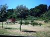Rustico in vendita con giardino a Castelfranco di Sotto - 04