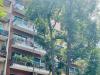 Appartamento bilocale in affitto a Milano - 04