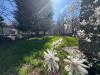 Appartamento in vendita con giardino a Rho - 04
