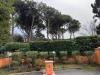 Villa in vendita con box doppio in larghezza a Roma - 07, WhatsApp Image 2025-01-22 at 15.32.54.jpeg