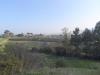 Terreno Agricolo in vendita a Monteprandone in contrada san donato - 02, Foto 2