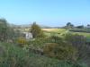 Terreno Agricolo in vendita a Monteprandone in contrada san donato - 03, Foto 3