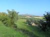 Terreno Agricolo in vendita a Monteprandone in contrada san donato - 05, Foto 5
