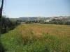 Terreno Edificabile in vendita a Spinetoli - 02, Foto 2