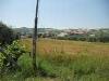 Terreno Edificabile in vendita a Spinetoli - 06, Foto 6