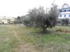 Terreno Edificabile in vendita a Grottammare in via cilea - 04, Foto 4