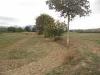 Terreno Agricolo in vendita a Monsampolo del Tronto in salaria - 04, Foto 4