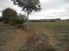Terreno Agricolo in vendita a Monsampolo del Tronto in salaria - 05, Foto 5