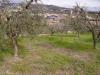 Terreno Edificabile in vendita a Colonnella in contrada san giovanni - 02, Foto 2