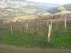 Casa indipendente in vendita con giardino a Ripatransone in san savino di ripatransone - 04, Foto 6