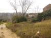 Terreno Edificabile in vendita a Colonnella in contrada san martino - 05, Foto 5