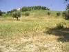 Terreno Agricolo in vendita a San Benedetto del Tronto in contrada montecretaccio - 06, Foto 6