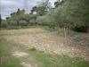 Terreno Agricolo in vendita a San Benedetto del Tronto in contrada monte acquilino - 03, Foto 3