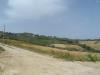 Terreno Agricolo in vendita a Colonnella in via degli orti - 02, Foto 2