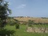 Terreno Agricolo in vendita a Colonnella in via degli orti - 04, Foto 4
