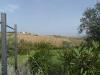 Terreno Agricolo in vendita a Colonnella in via degli orti - 05, Foto 5
