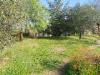 Terreno Agricolo in vendita a Monteprandone in contrada solagna - 04, Foto 4