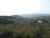 Terreno Agricolo in vendita a Monteprandone in via fosso dei galli - 02, Foto 2
