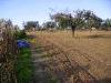 Terreno Agricolo in vendita a San Benedetto del Tronto in via monti - 04, Foto 4