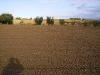 Terreno Agricolo in vendita a San Benedetto del Tronto in via monti - 05, Foto 5