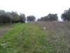 Terreno Edificabile in vendita a Castel di Lama in zona piattoni - 05, Foto 5
