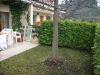 Casa indipendente in vendita con giardino a Ascoli Piceno in via delle genziane 22 - 04, Foto 4
