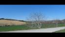Terreno Agricolo in vendita a Fermo in contrada camera di torre - 02, Foto 2