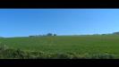 Terreno Agricolo in vendita a Fermo in contrada camera di torre - 03, Foto 3