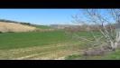 Terreno Agricolo in vendita a Fermo in contrada camera di torre - 04, Foto 4