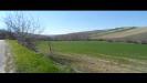 Terreno Agricolo in vendita a Fermo in contrada camera di torre - 05, Foto 5