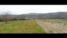 Terreno Agricolo in vendita a Controguerra in piane di tronto 50 - 09, Foto 9